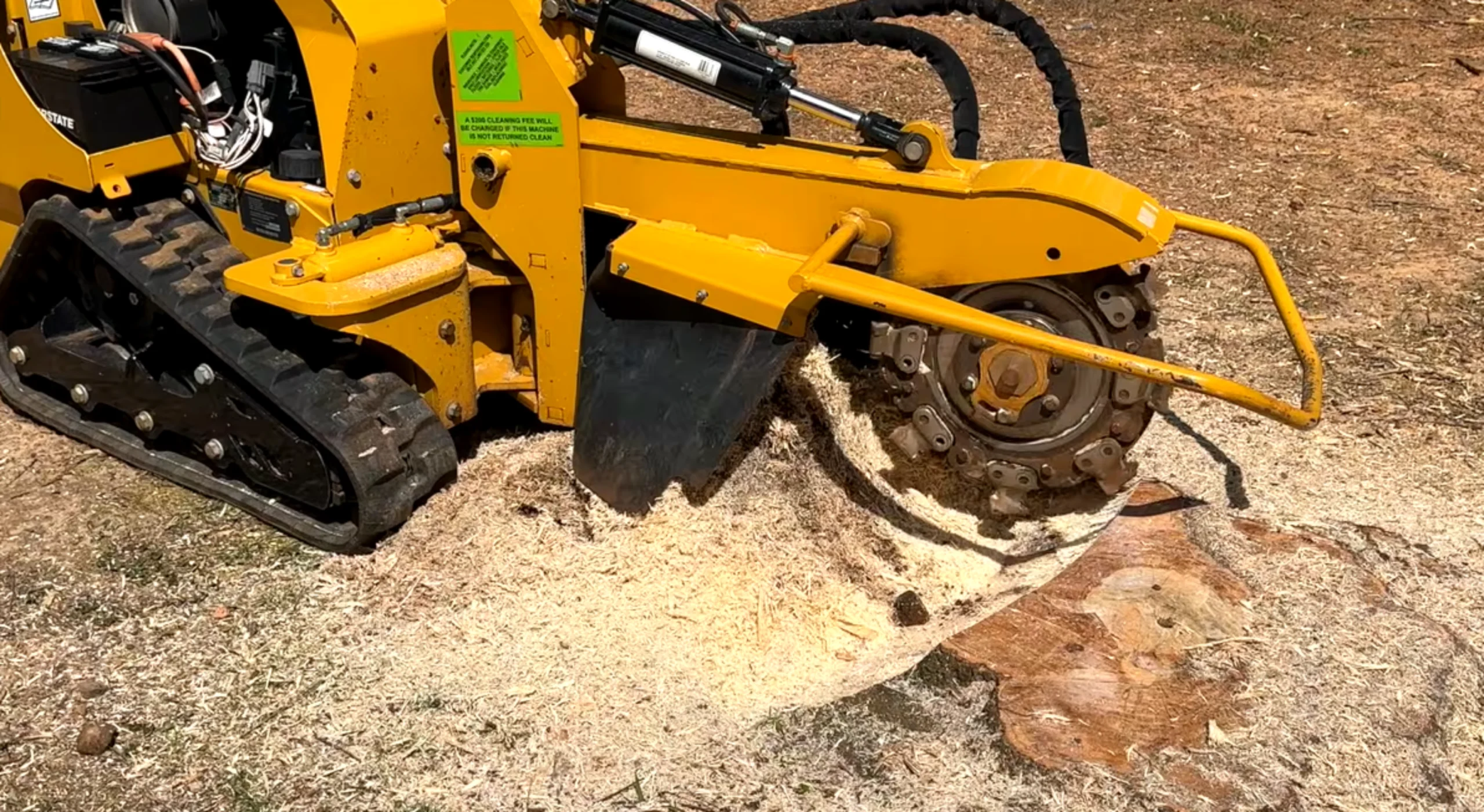 Stump Removal in Austin, TX